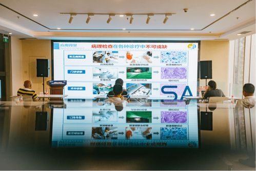 數(shù)字經(jīng)濟(jì)產(chǎn)業(yè)賦能 場景匯路演聚焦人工智能雙創(chuàng)服務(wù)與智慧教育新機(jī)遇